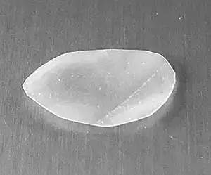 Spina Bifida Smart Patch