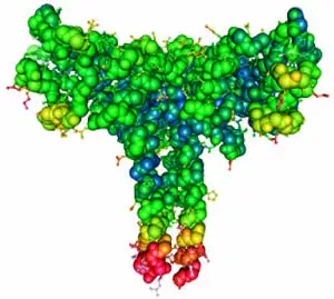 Surfactant Nanoparticle