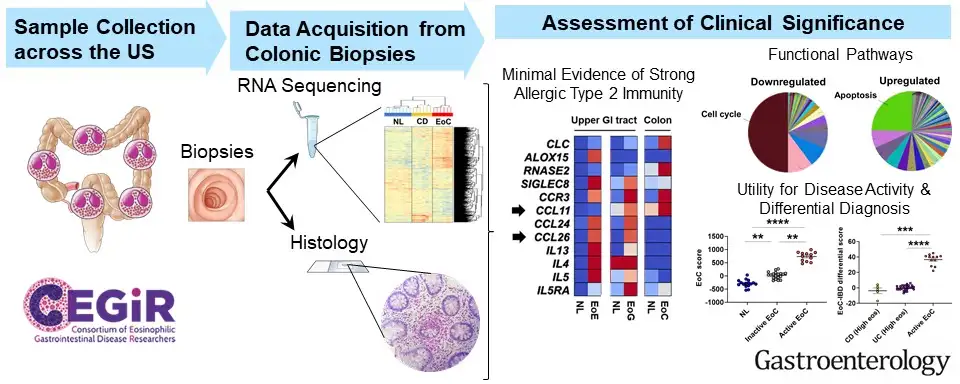 graphical abstract of study findings