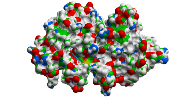 Molecular model showing multiple spheres bound together.