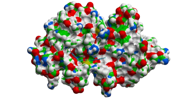 Molecular model showing multiple spheres bound together.
