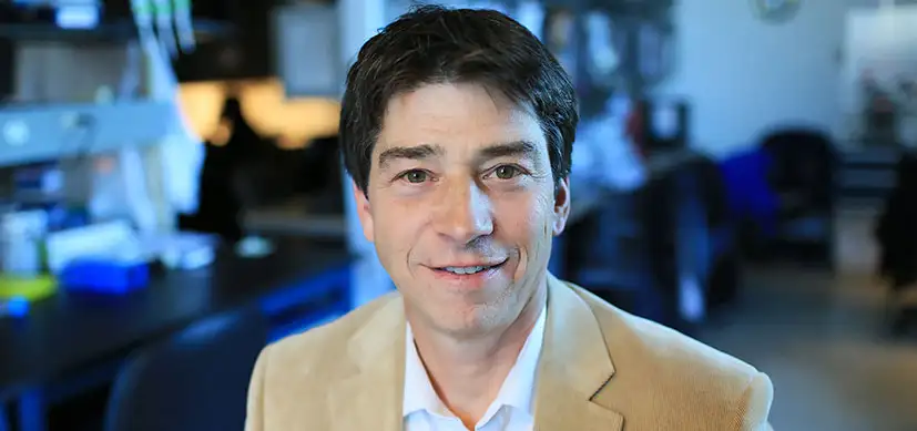 Marc Rothenberg