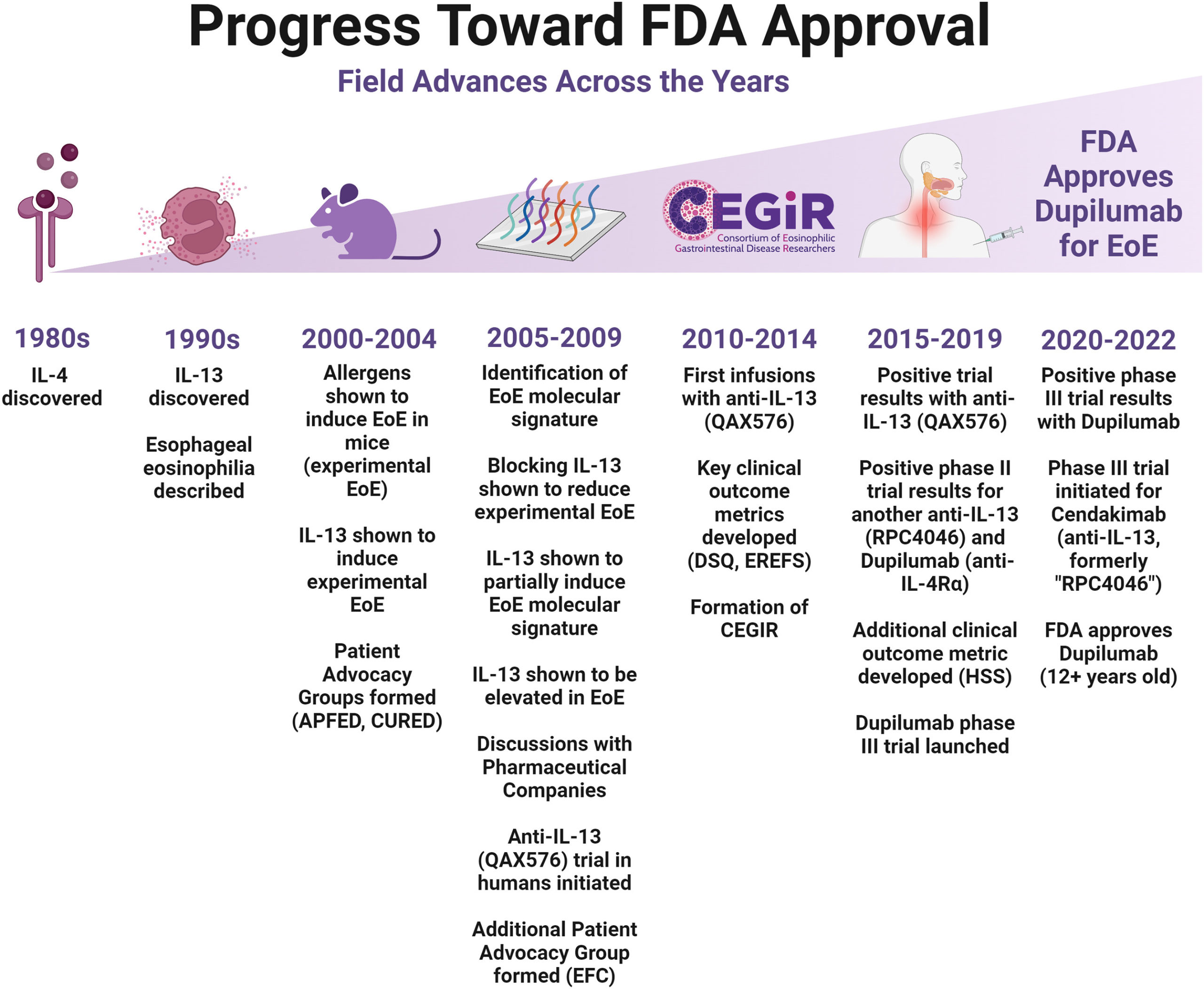 Dr. Rothenberg and colleagues at Cincinnati Children's have played central roles from the beginning of the EoE journey; from establishing the condition as its own disease to characterizing the genetic and molecular pathways involved to co-leading the clinical trials that led to the FDA approval of dupilumab.