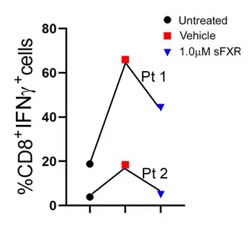 Line chart shows two examples of how treatment reduced unwanted immune cell production during the body's reaction to liver disease damage.