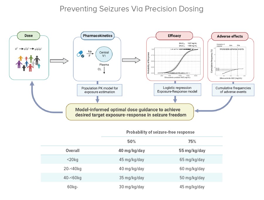 This graphical abstract describes how pharmacokinetics and related technologies can be used to maximize the effectiveness of ethosuximide in seizure prevention.