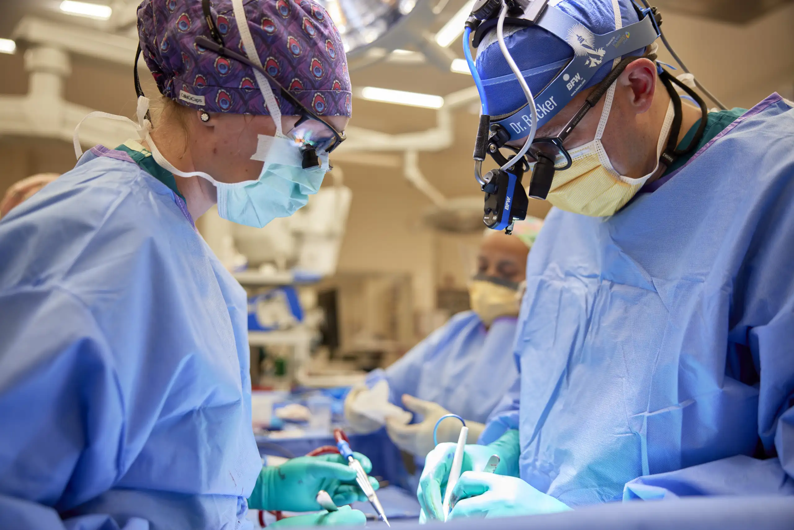 Nationally Supported Recommendations to Ensure Access to Quality