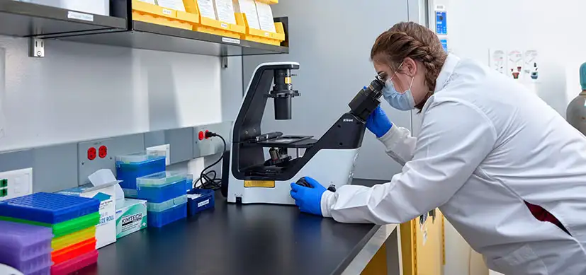 research associate looking into a microscope
