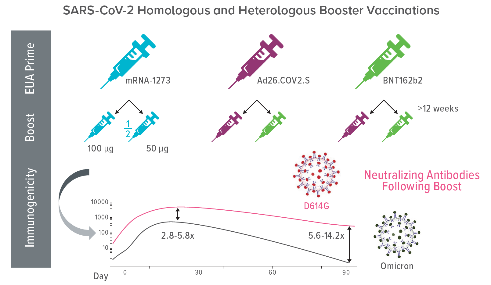 SARS-CoV-2 Homologous and Heterologous Booster Vaccinations