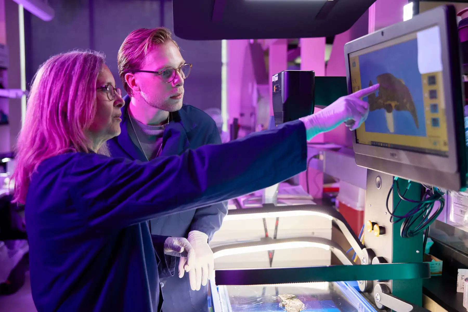 Photo of Kathryn Wikenheiser-Brokamp and Drew Smith working in the Integrated Pathology Research Facility