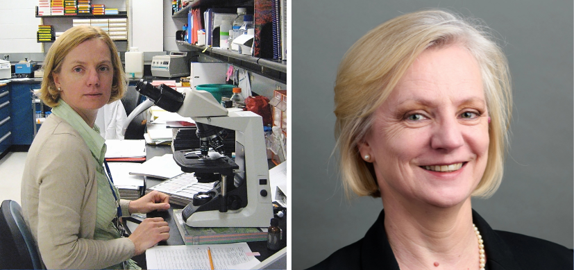 Photo of Anne-Karina Perl, MS, PhD, in 2007 (left) and present day as director of the Biomedical Research Technologies Graduate Program and a research professor in the Divisions of Pulmonary Biology and Developmental Biology