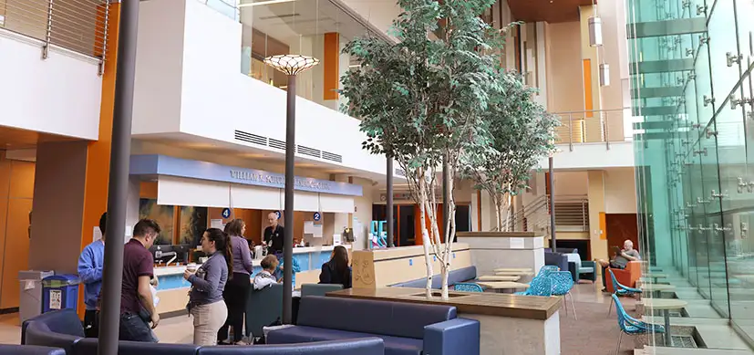 Schubert Research Clinic Main Atrium